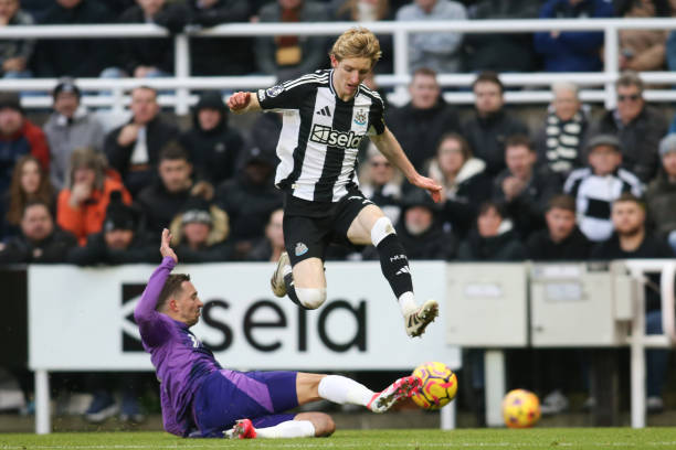 手的成长历 手的成长历